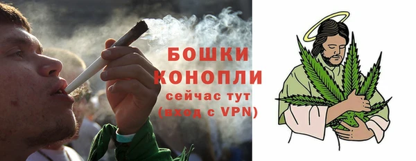 гидра Арсеньев
