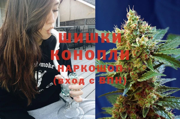 гидра Арсеньев