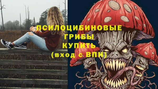 ГАЛЛЮЦИНОГЕННЫЕ ГРИБЫ Аркадак