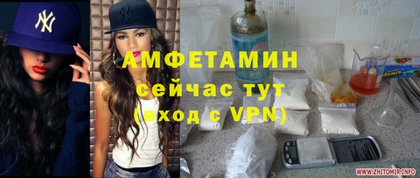 ГАЛЛЮЦИНОГЕННЫЕ ГРИБЫ Аркадак